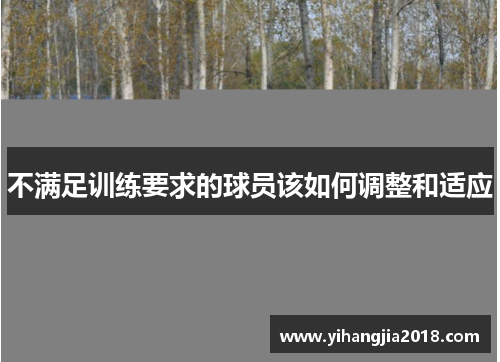 不满足训练要求的球员该如何调整和适应